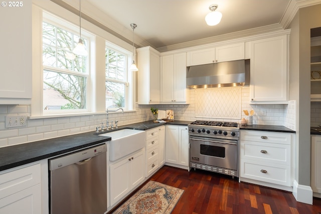 kitchen with white cabinetry, appliances with stainless steel finishes, sink, and exhaust hood