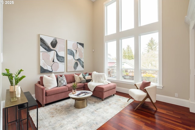 living room featuring a high ceiling and dark hardwood / wood-style floors