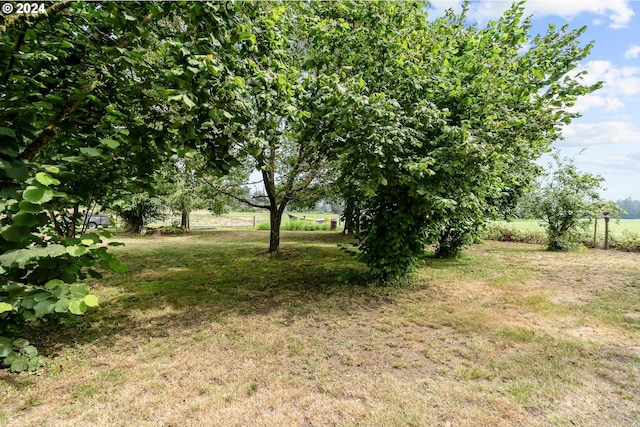 view of yard with a rural view