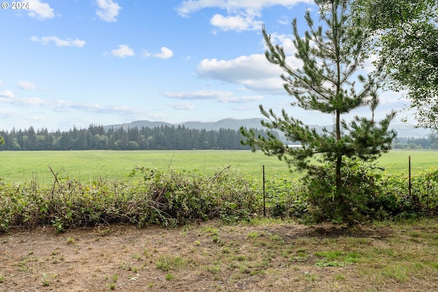 view of yard featuring a rural view