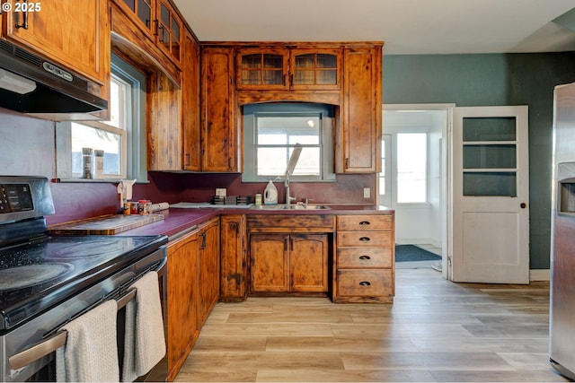 kitchen with sink, stainless steel electric stove, and light wood-type flooring