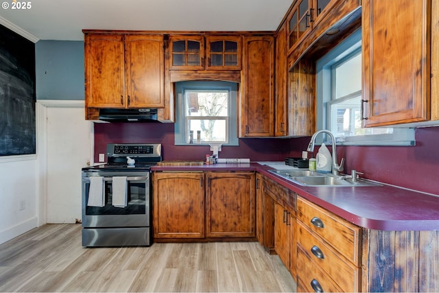 kitchen with sink, light hardwood / wood-style flooring, and stainless steel range with electric stovetop