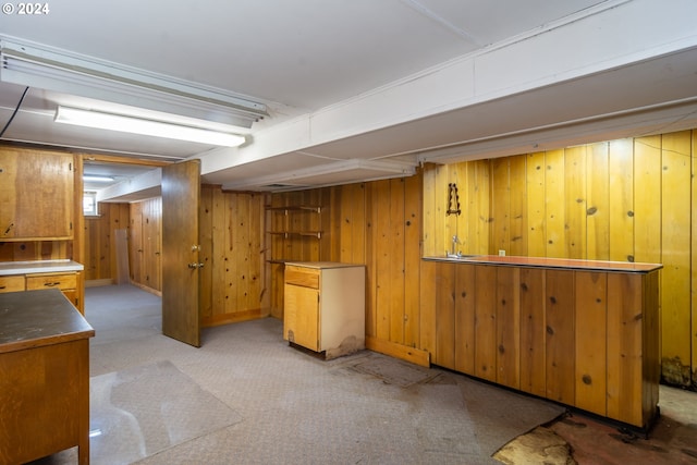 basement with light colored carpet and wood walls