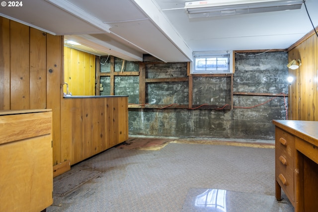 basement featuring wood walls and carpet