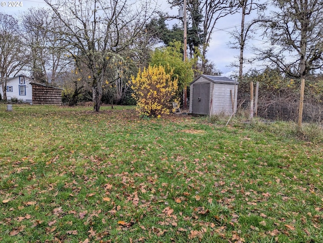 view of yard with a storage unit