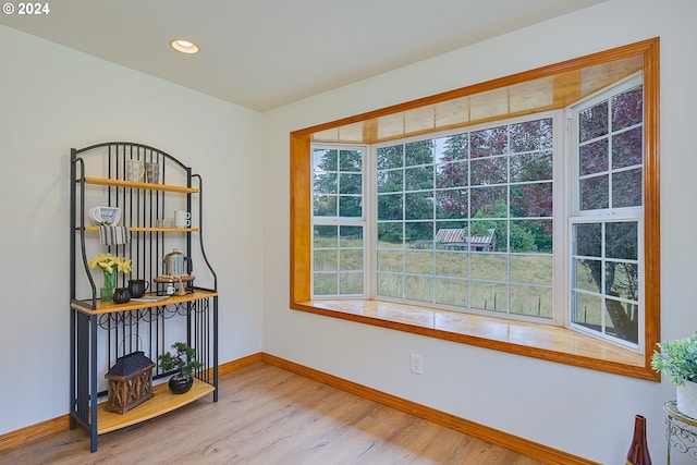 interior space featuring light hardwood / wood-style floors