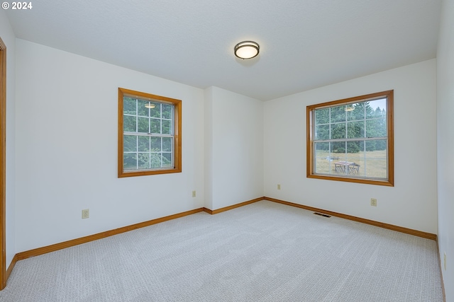 carpeted empty room with a healthy amount of sunlight