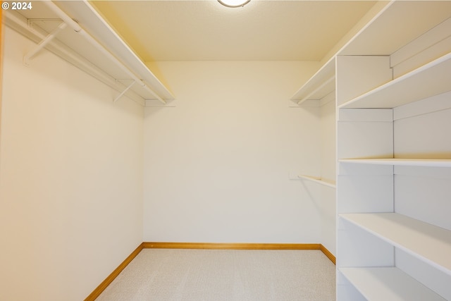 walk in closet featuring carpet flooring