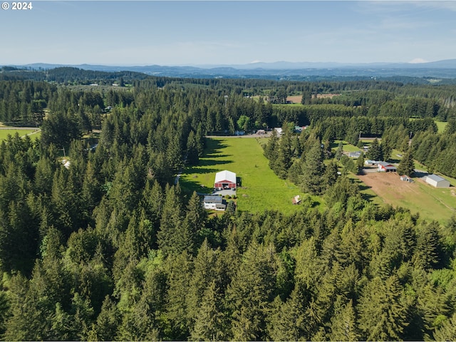 birds eye view of property featuring a mountain view