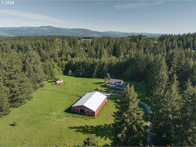 birds eye view of property featuring a mountain view