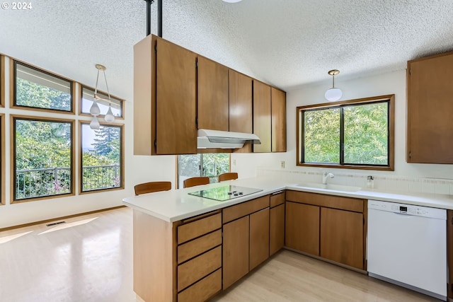 kitchen featuring pendant lighting, black electric stovetop, dishwasher, light hardwood / wood-style floors, and sink