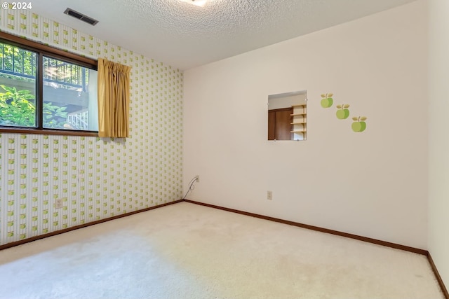 empty room featuring a textured ceiling and light colored carpet