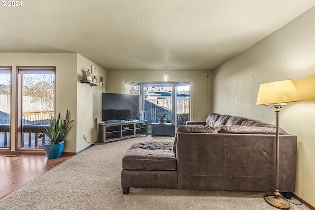 living room featuring wood-type flooring and a textured ceiling