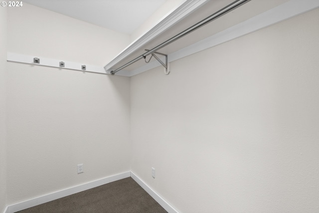 spacious closet featuring carpet floors