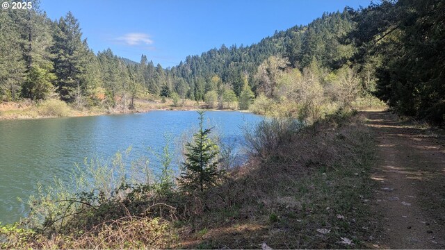 2999 Speaker Rd, Wolf Creek, OR 97497 - view of water feature with a view of trees and a mountain view