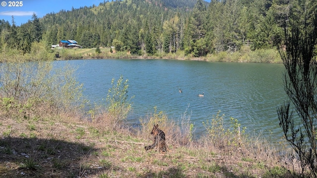 2999 Speaker Rd, Wolf Creek, OR 97497 - view of water feature featuring a view of trees
