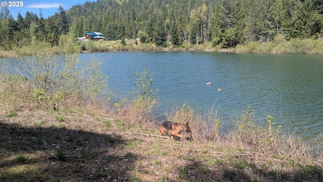 2999 Speaker Rd, Wolf Creek, OR 97497 - water view with a view of trees