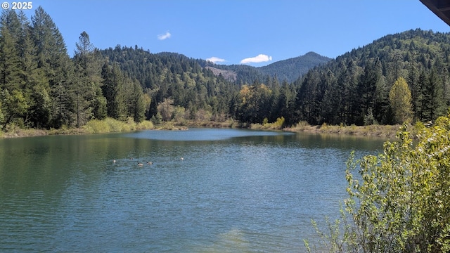 2999 Speaker Rd, Wolf Creek, OR 97497 - water view featuring a forest view and a mountain view