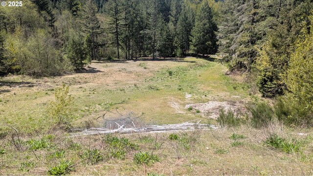 2999 Speaker Rd, Wolf Creek, OR 97497 - view of landscape featuring a wooded view
