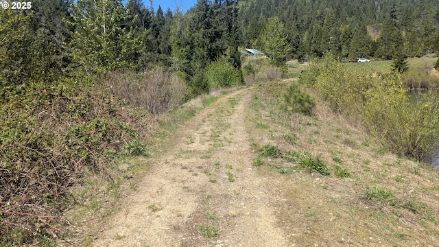 2999 Speaker Rd, Wolf Creek, OR 97497 - drone / aerial view featuring a view of trees