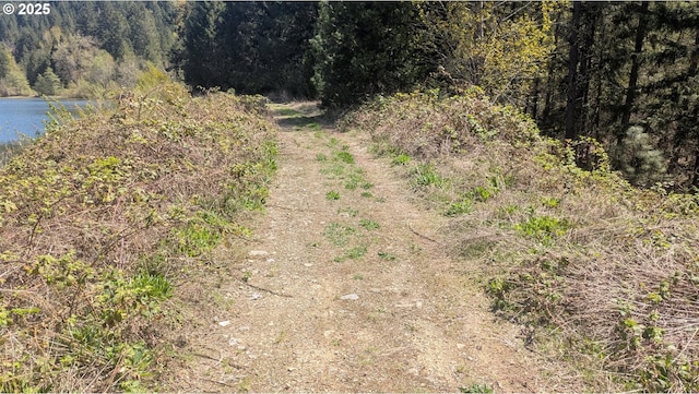 2999 Speaker Rd, Wolf Creek, OR 97497 - exterior space with a wooded view and a water view