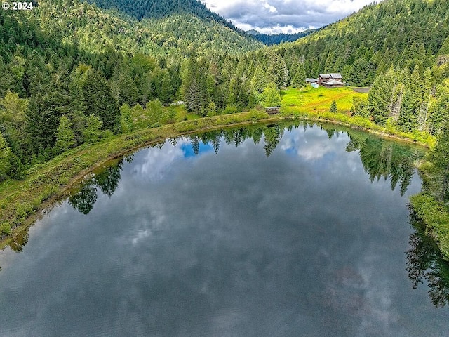 2999 Speaker Rd, Wolf Creek, OR 97497 - view of water feature with a mountain view and a wooded view