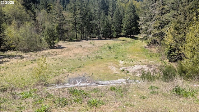 2999 Speaker Rd, Wolf Creek, OR 97497 - aerial view featuring a view of trees