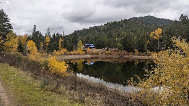 2999 Speaker Rd, Wolf Creek, OR 97497 - property view of water with a mountain view and a wooded view