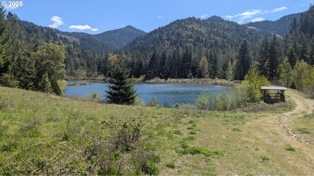 2999 Speaker Rd, Wolf Creek, OR 97497 - property view of water with a forest view and a mountain view