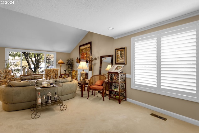 carpeted living room with vaulted ceiling and a textured ceiling