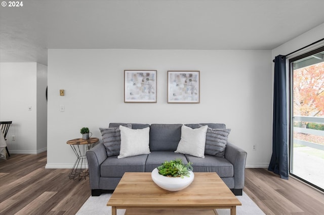 living room featuring wood-type flooring