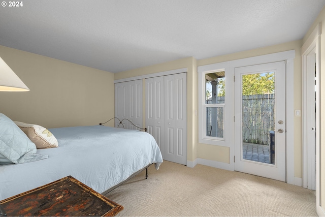 bedroom with light colored carpet and access to outside