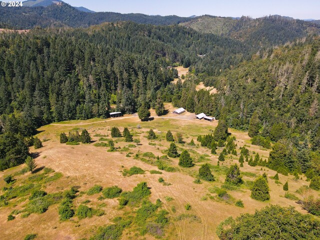 birds eye view of property with a mountain view and a wooded view