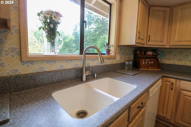 kitchen featuring white dishwasher and sink