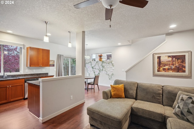 living room featuring a textured ceiling, dark hardwood / wood-style flooring, and sink