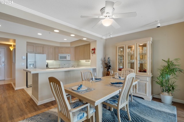 dining space with light hardwood / wood-style floors, ceiling fan, and crown molding