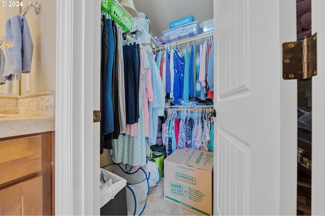 view of spacious closet