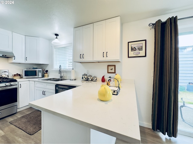 kitchen featuring kitchen peninsula, stainless steel appliances, and a wealth of natural light