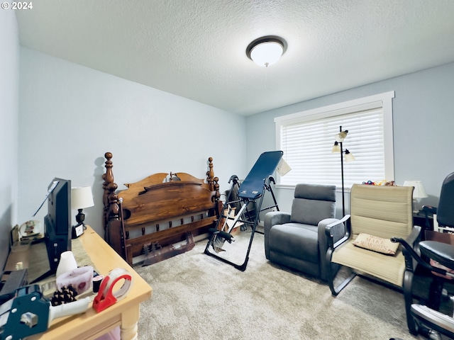 carpeted bedroom with a textured ceiling