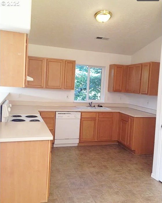 kitchen with dishwasher, stove, and sink