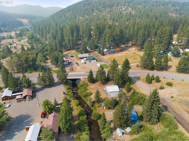 bird's eye view featuring a wooded view and a mountain view