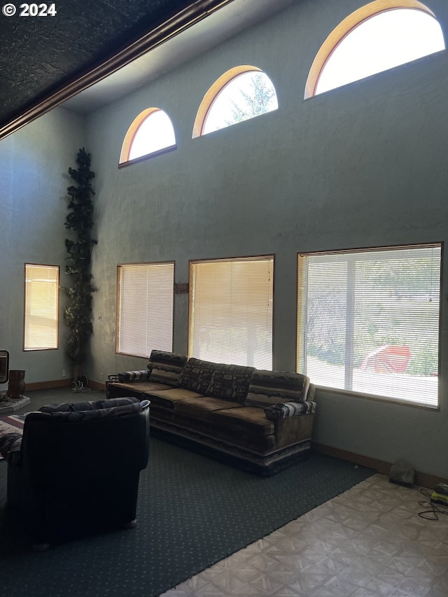 living room with a towering ceiling and light floors