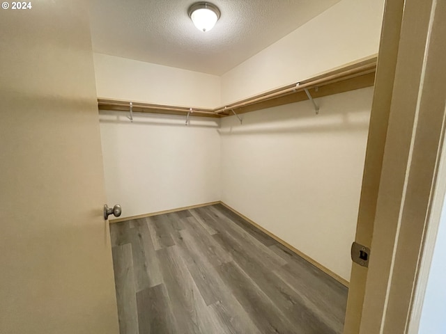 walk in closet featuring wood finished floors