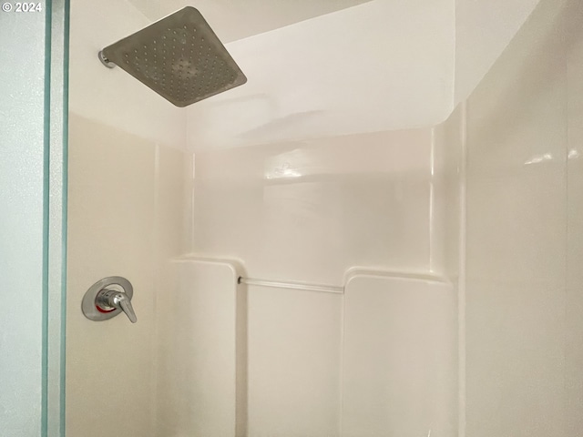 interior details with a shower stall