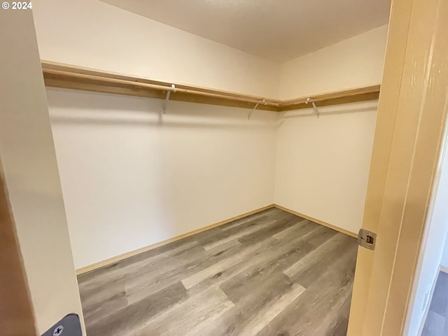 spacious closet with hardwood / wood-style flooring