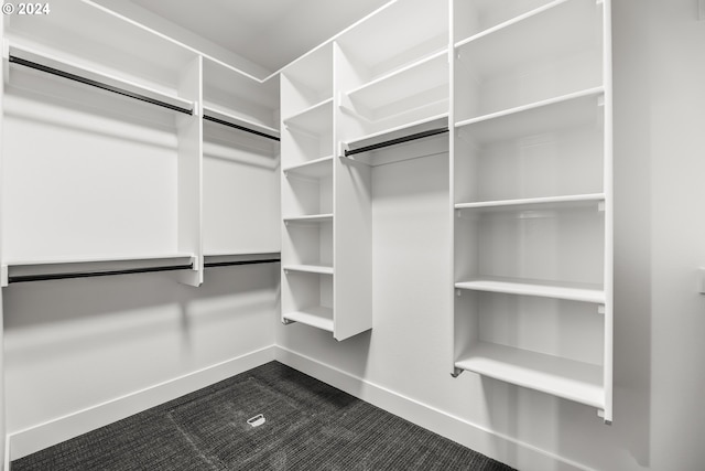 spacious closet featuring carpet