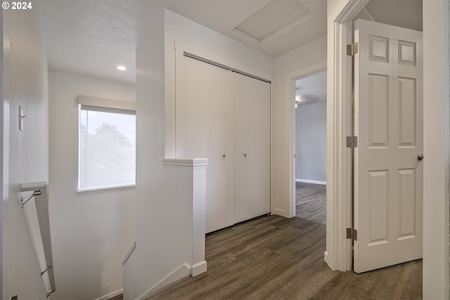 hall with dark hardwood / wood-style flooring