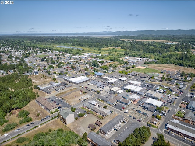 birds eye view of property featuring a mountain view