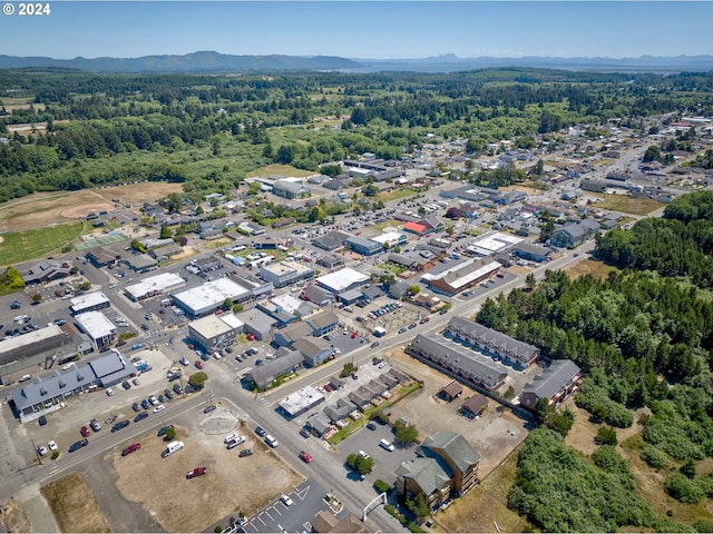 bird's eye view featuring a mountain view