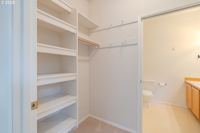view of spacious closet